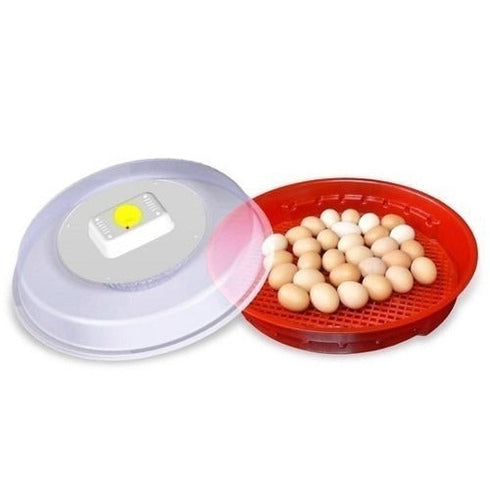 Incubator oua puisor NOU IO-102 cu intoarcere manuala, putere 100W