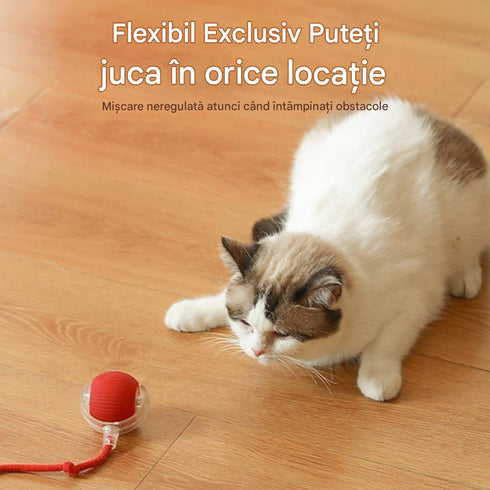 Jucarie interactiva smart pentru caini si pisici, lumini LED