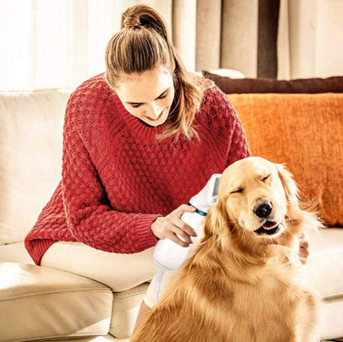 Perie cu feon 2 in 1 pentru animale, functie uscator de par